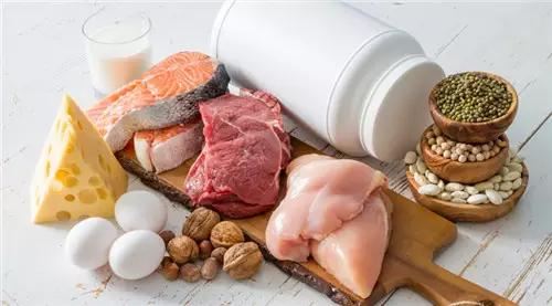 protein for pets